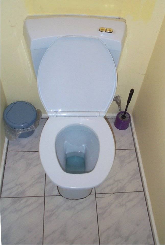 Toilet bowl (open).jpg